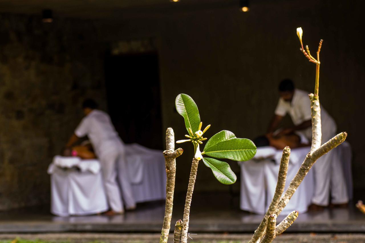 Santani Resort & Spa Kandy Exterior foto
